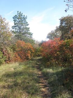 Foto von Gianberto Zilli entlang der Tour