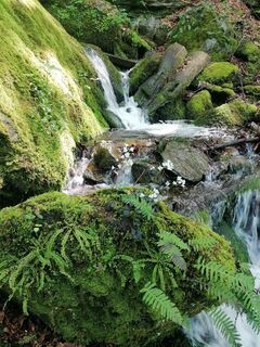 Fotografie z Dagmar Hofer na trase