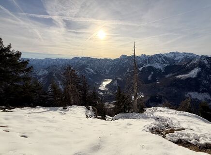 Zdjęcie z Natur_erleben_dg wzdłuż trasy