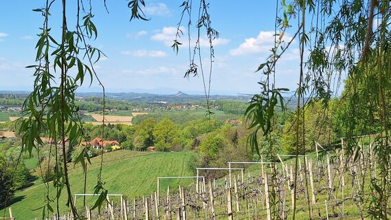 Foto von Susi Puhl entlang der Tour
