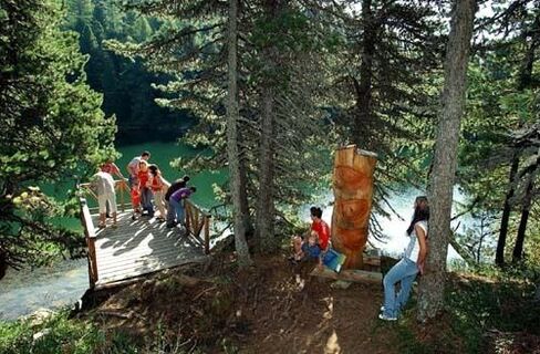Nach St. Lorenzen - Durch Zirbenwälder vorbei an Kärntens höchstgelegenen Bergba