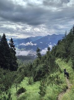 Foto von Matthias Klein 2 entlang der Tour