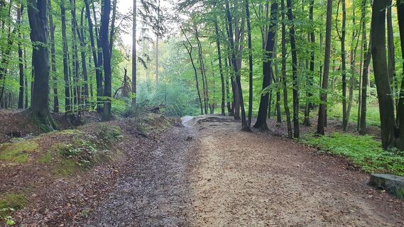 2.9 km Auffahrtsweg