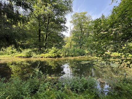 Foto von Yvonne B. entlang der Tour