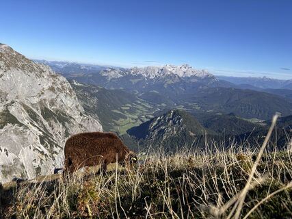 Foto von Daniel Zeh entlang der Tour