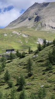 Foto de Cilli Waldhof a lo largo del recorrido