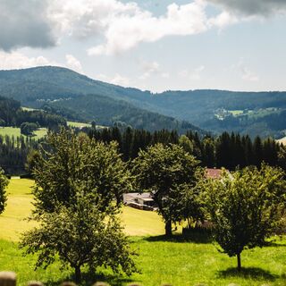 Blick vom Packer Stausee auf die Berge