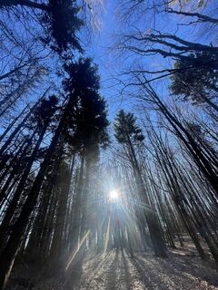 Foto von Bacskai János entlang der Tour