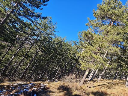 Foto von Bergpirat entlang der Tour