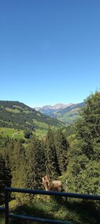 Fotó a mosi mönä honlapról a túra során