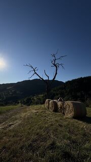 Fotografija s spletne strani 0711__tobi na poti