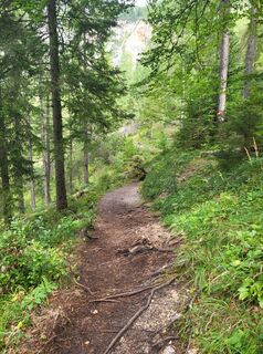 Fotografia z Gudi kowa na trase