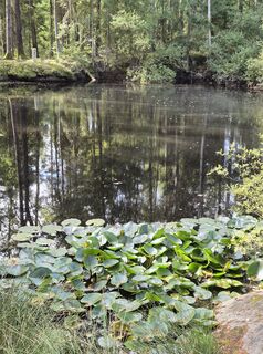Fotografija s spletne strani Ronald 4 na poti