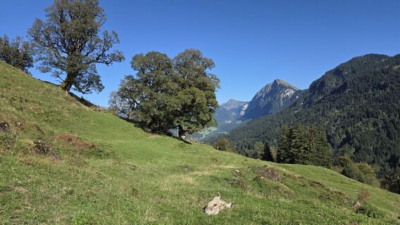 Fotografie z V Feurstein na trase