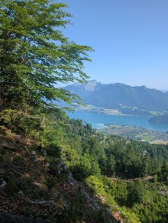 Foto von SFK entlang der Tour