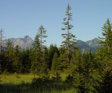 Straußberg