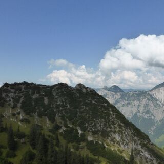 Zwölferkopf