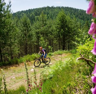 Unterwegs mit dem E-Mountainbike auf schönen Waldwegen mit Aussicht
