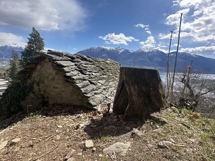 Foto von Zengaffinen Erwin entlang der Tour