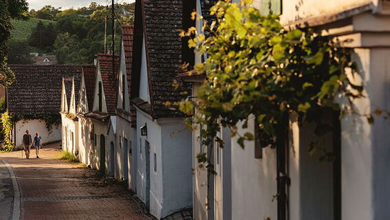 Kellergasse Falkenstein