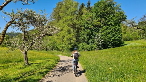 Kleine Sommerrunde Nagold