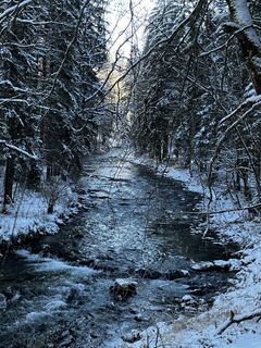 Foto von Susanne entlang der Tour