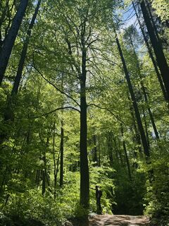 Foto de Jacqueline Sulzer a lo largo del recorrido