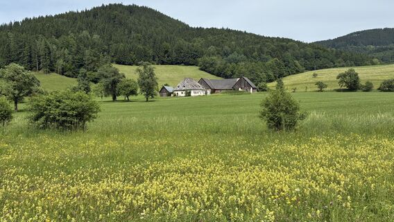 Photo de Claudia C Gruber le long du parcours