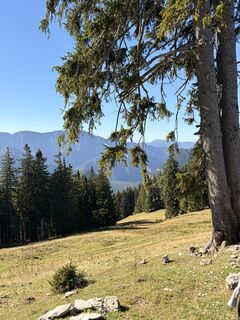 Foto von Stefan Passauer entlang der Tour