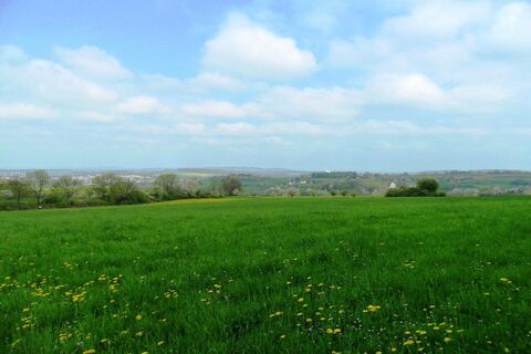 Aussicht am Frohn-Wald-Weg
