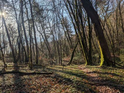 Photo de Contact Nicolas Bouvier le long du parcours