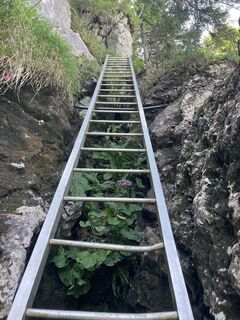 Leiter kurz vor dem Gipfel