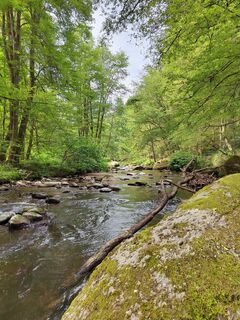 Foto von ReginaSt entlang der Tour