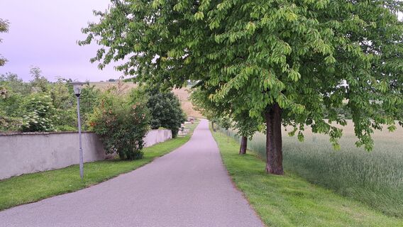 Blick zurück zum Wanderbeginn Parkplatz