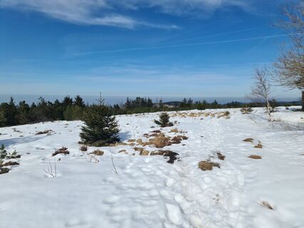 Fotografija s spletne strani W B MA na poti