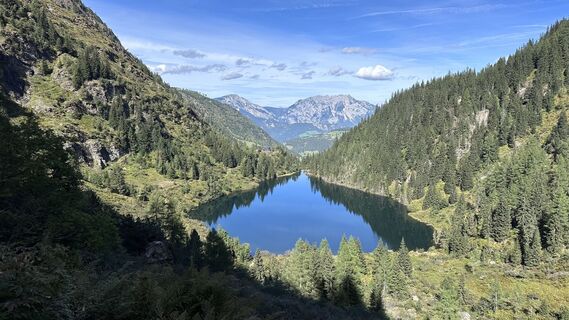Foto von Mountain Cat ? ⛰️ entlang der Tour
