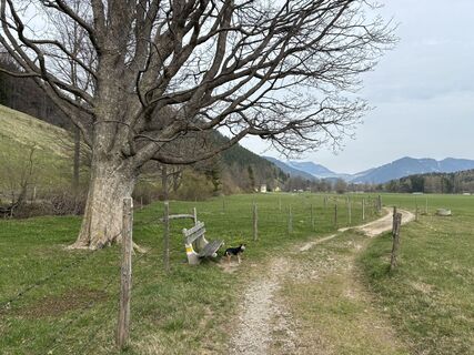 Foto von Lothar Bodingbauer entlang der Tour