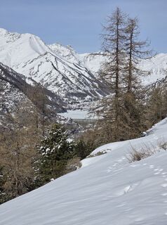 Foto van FABIO MAGLIANO langs de tour