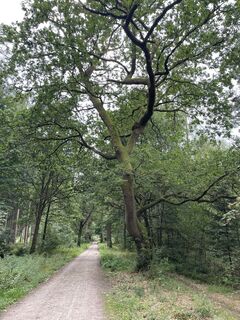 Foto von Sy Drexler entlang der Tour