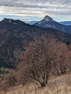 Foto von Anne be entlang der Tour