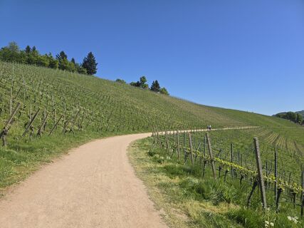 Foto von Michel Kennel entlang der Tour