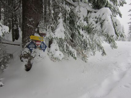 Rossmoos Runde in Bad Goisern
