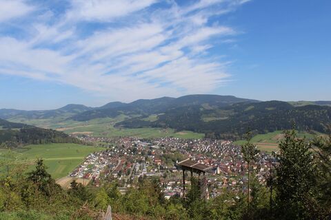 Badwaldblick