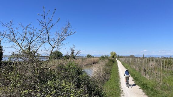 Fotografija s spletne strani Gerhard Wipplinger na poti