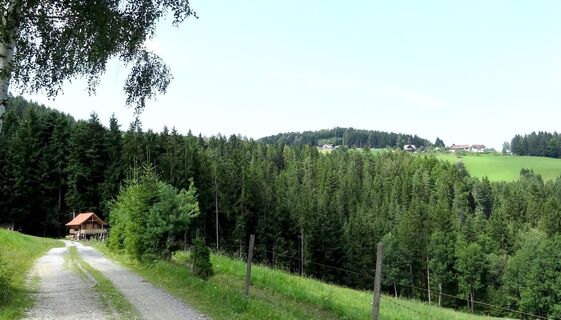 hoadholz - rundwanderweg, waisenegg_img_6437384