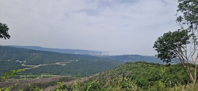 Fotografia z Utassy Tóth Johanna na trase