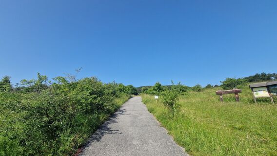 Фото с сайта EP87 во время экскурсии