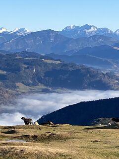 Foto von Sven Krieblin entlang der Tour