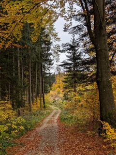 Foto von Anni Kreidl entlang der Tour