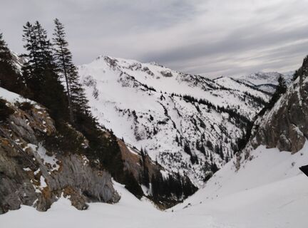 Fotografija s spletne strani Andrej Meštrović na poti